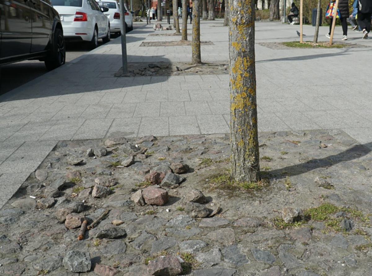 Чистота реки, цвета курорта и защита газонов